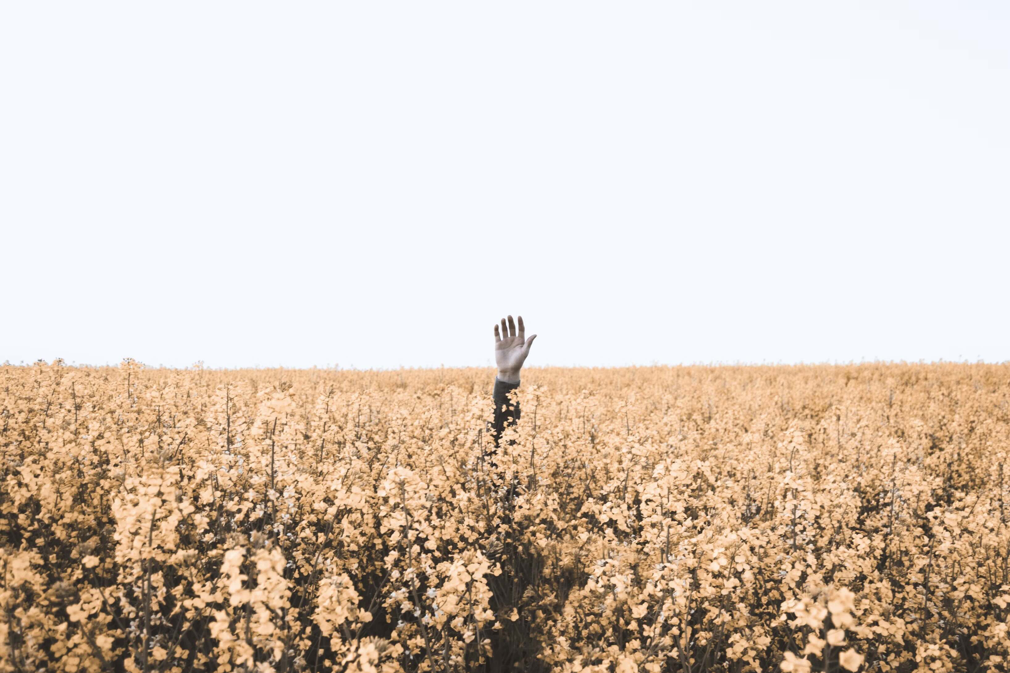 Why your 'closed-lost' deals aren't actually lost (and how to bring them back) visual